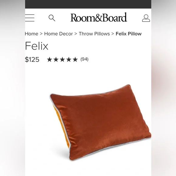 Room&Board 2 Felix Velvet Two-Tone Pillow Covers Sienna 20”w 13”h - Picture 4 of 5